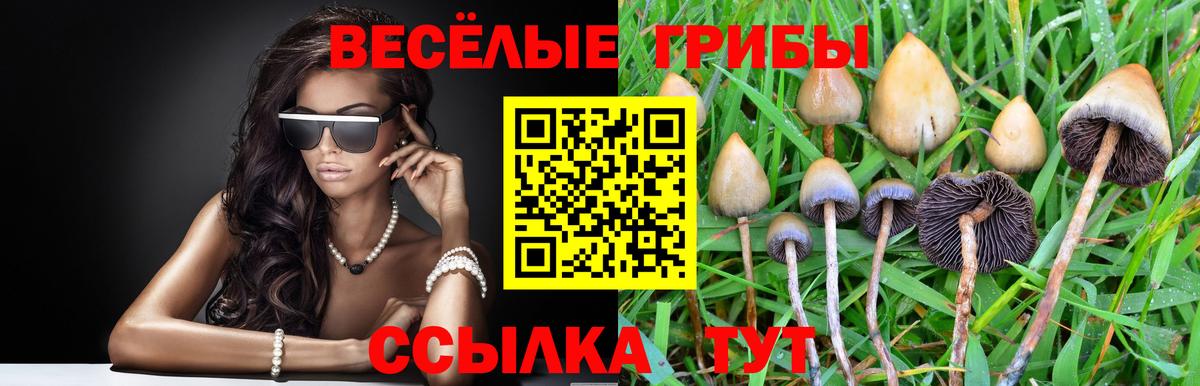 Галлюциногенные грибы MAGIC MUSHROOMS Сорочинск